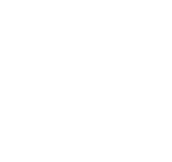 No Small Parts Productions